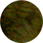 sopo2104